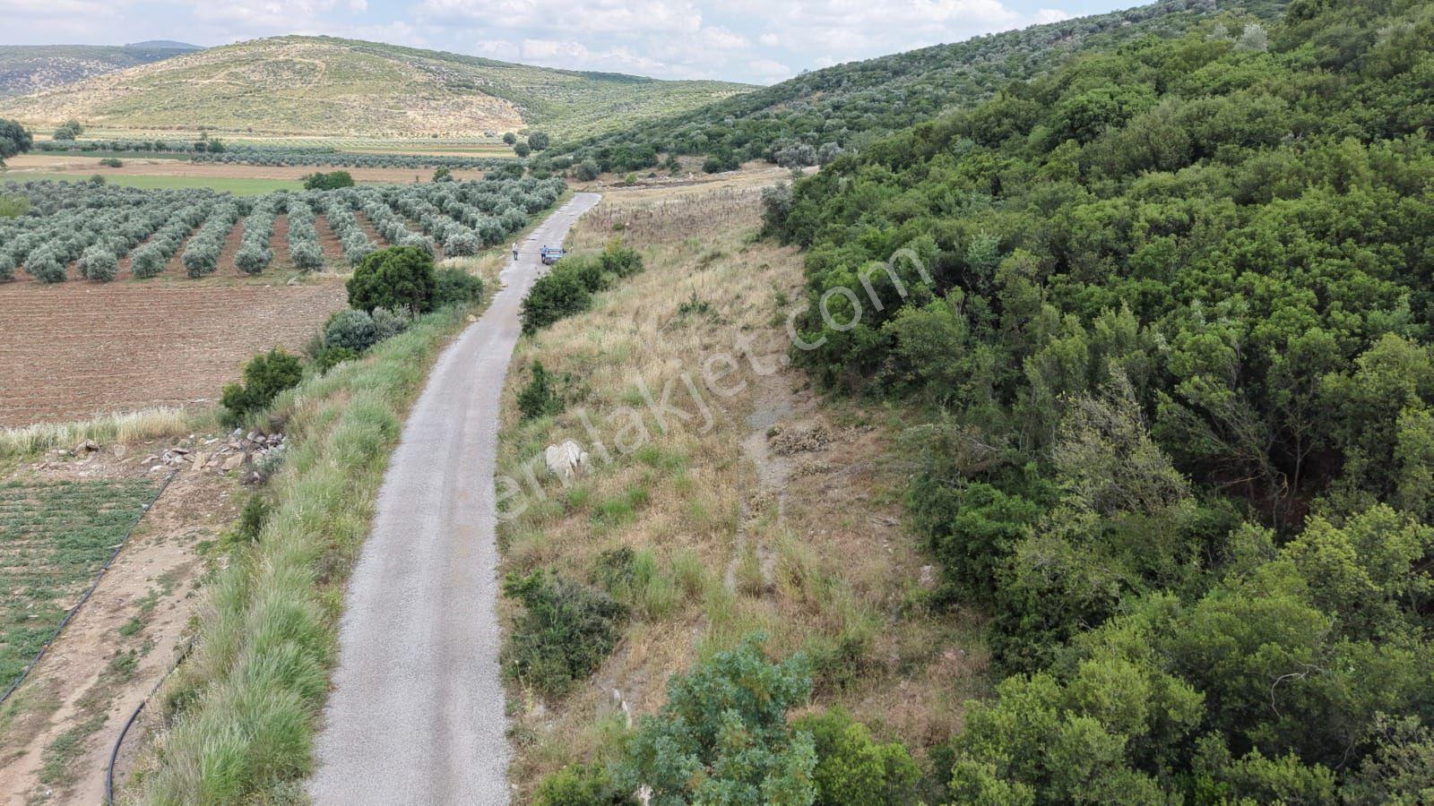 İzmir Menderes Çakaltepede 682 M2 Müstakil Parsel Tarla — fotoğraf 15