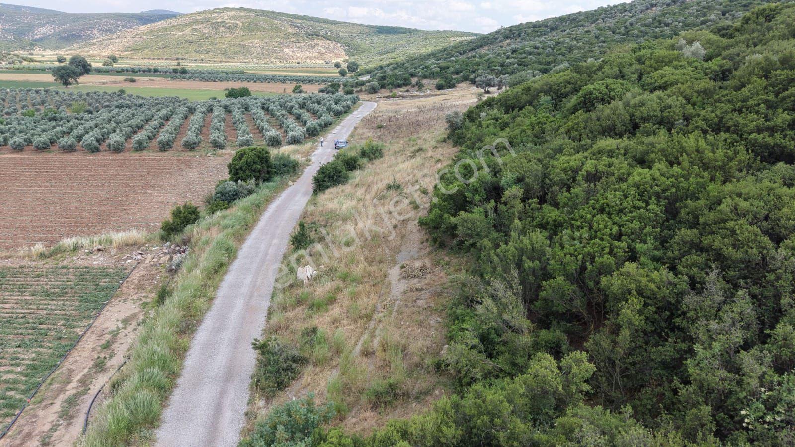 İzmir Menderes Çakaltepede 682 M2 Müstakil Parsel Tarla — fotoğraf 16