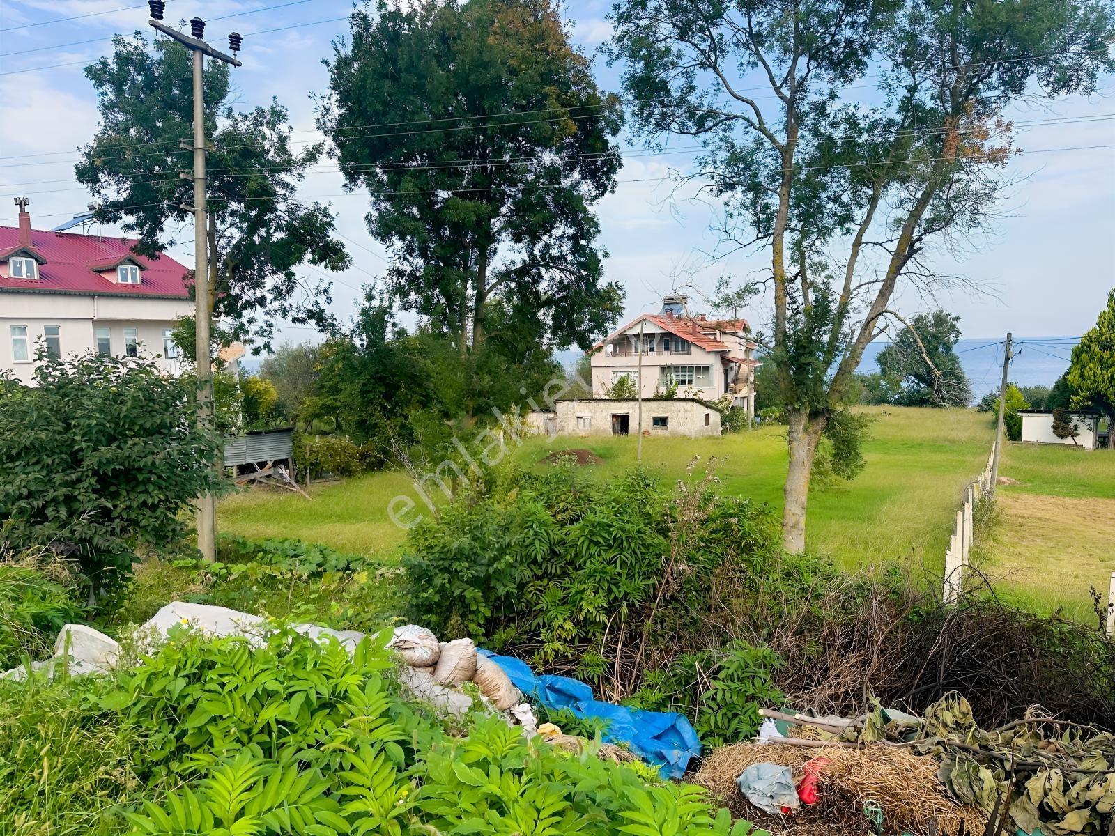 Tepe Gayrimenkul Çaytepe De Yasonda Denize Sıfır Emsalsiz Arsa — fotoğraf 7