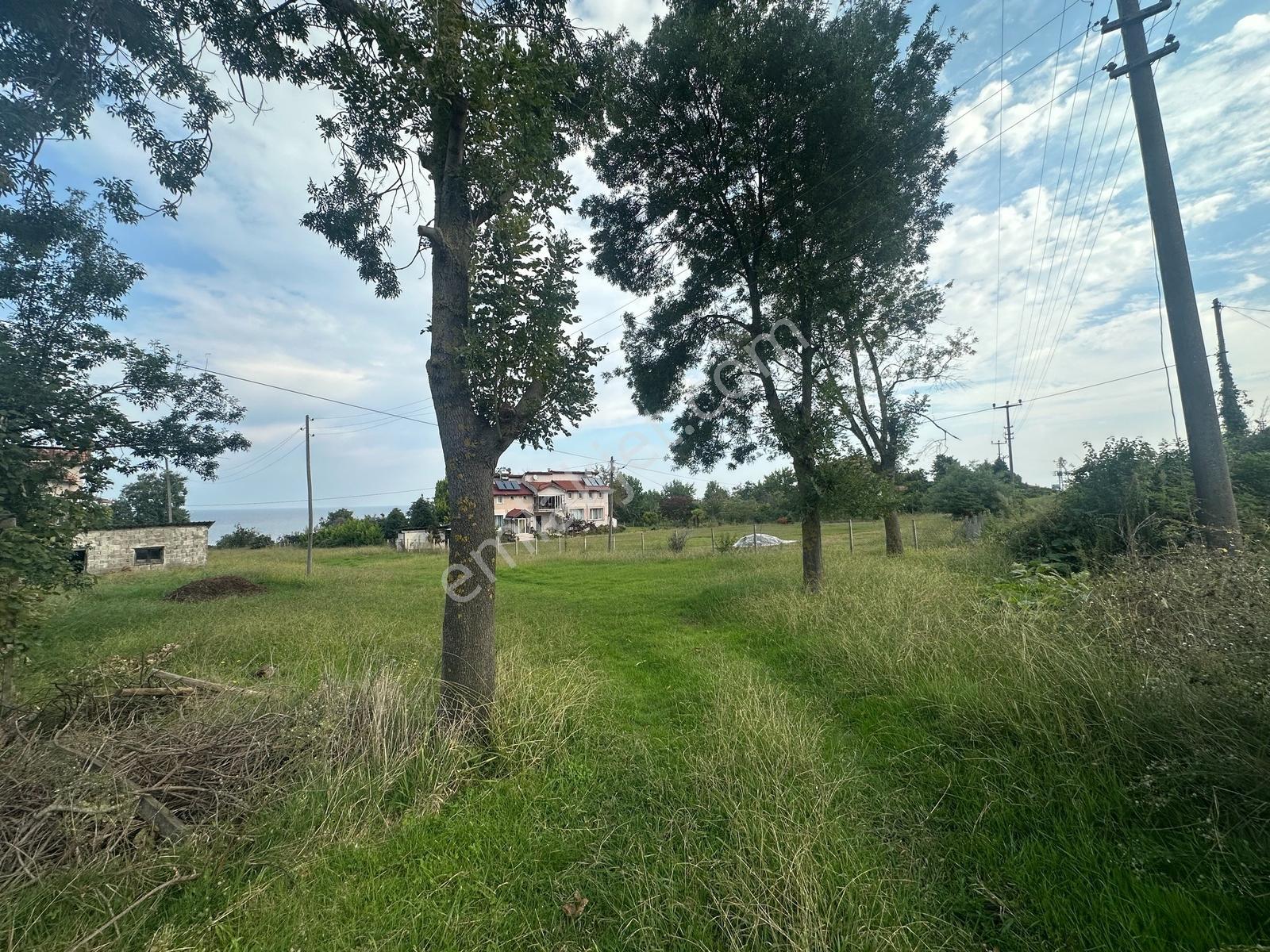 Tepe Gayrimenkul Çaytepe De Yasonda Denize Sıfır Emsalsiz Arsa — fotoğraf 8