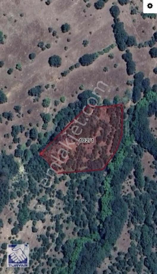 Tek Tapu 6091 M2 Satılık Tarla — fotoğraf 2