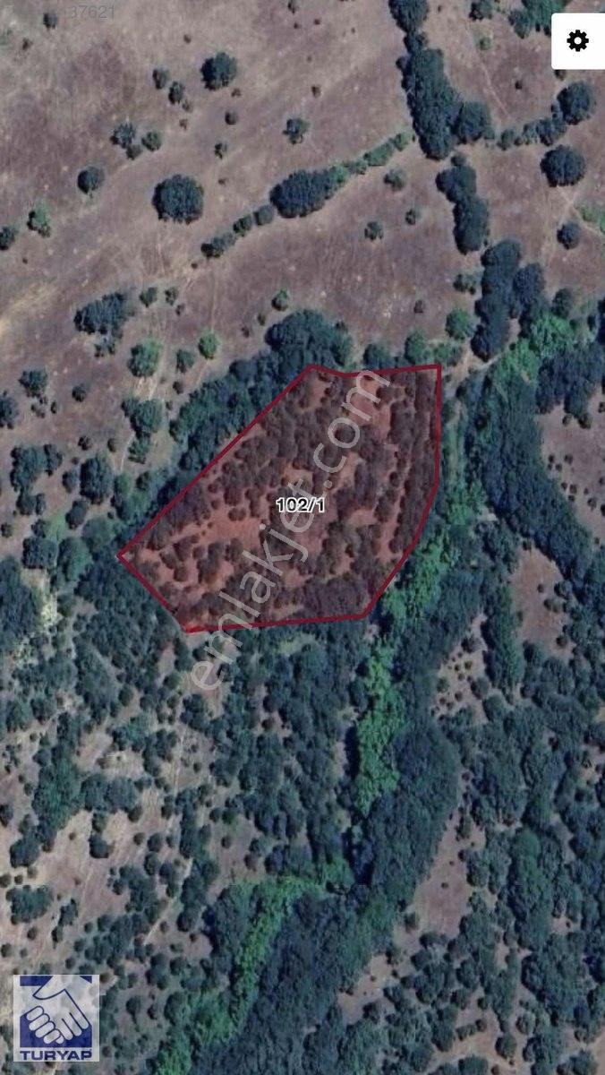 Tek Tapu 6091 M2 Satılık Tarla — fotoğraf 3