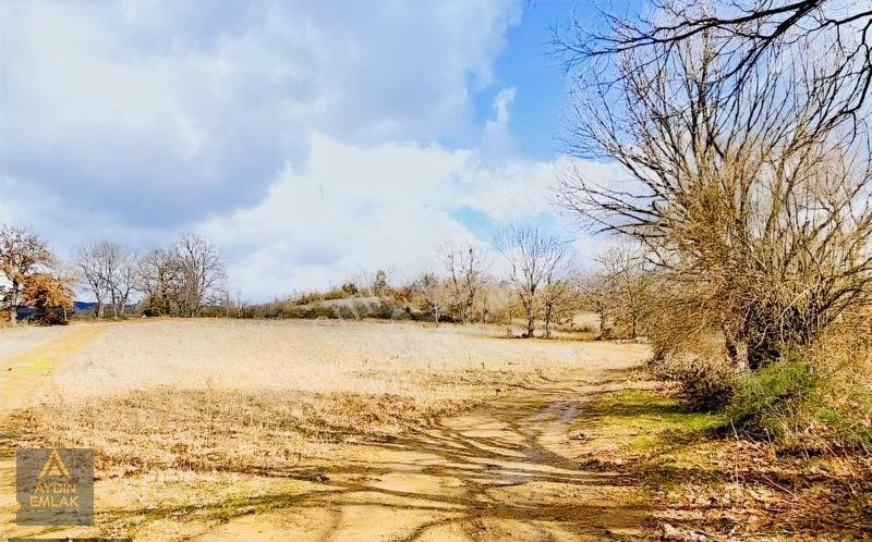Çanakkale Yenice'nin En Prestijli Arsalı&arazi — fotoğraf 4