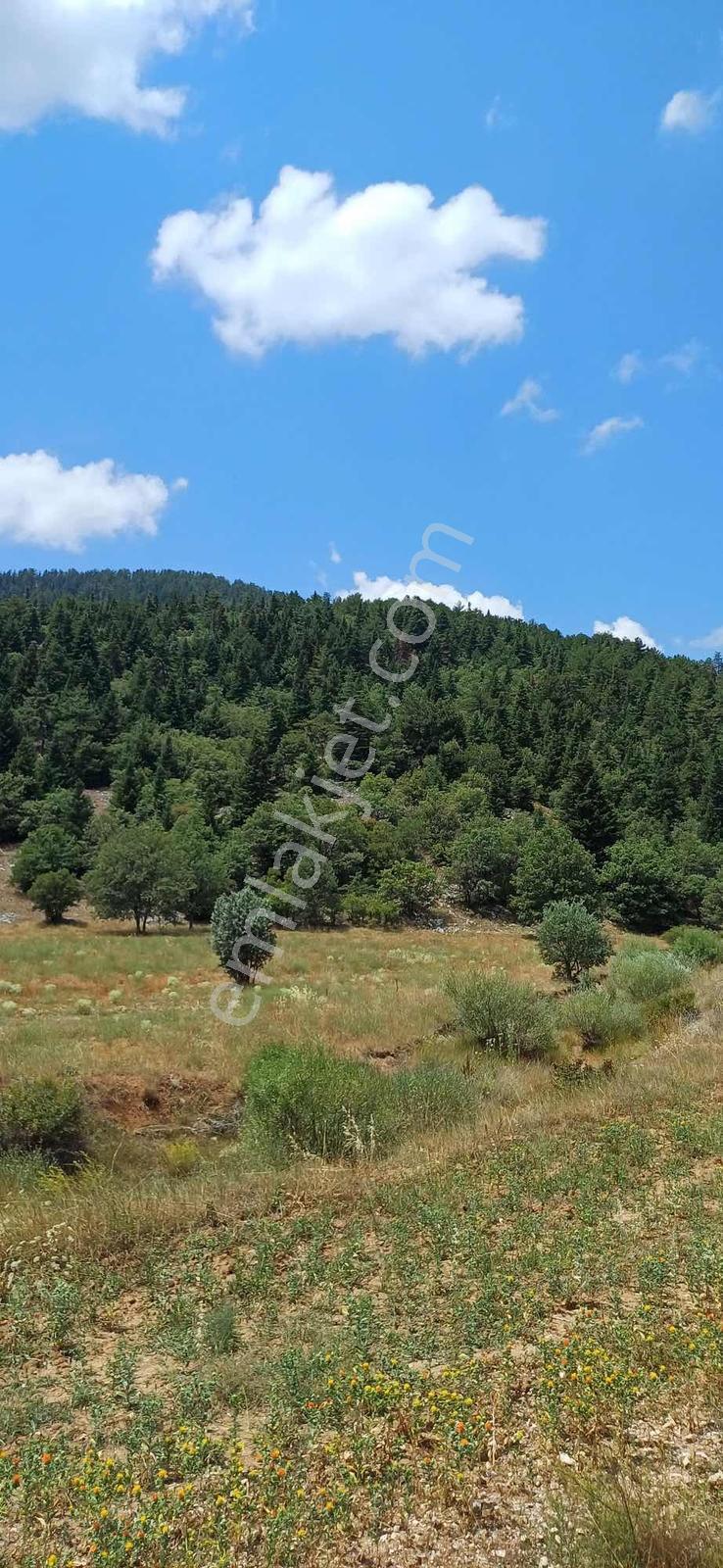 Enes Acur'dan Tepearasın'da 2.868 M2 Satılık Tarla — fotoğraf 10