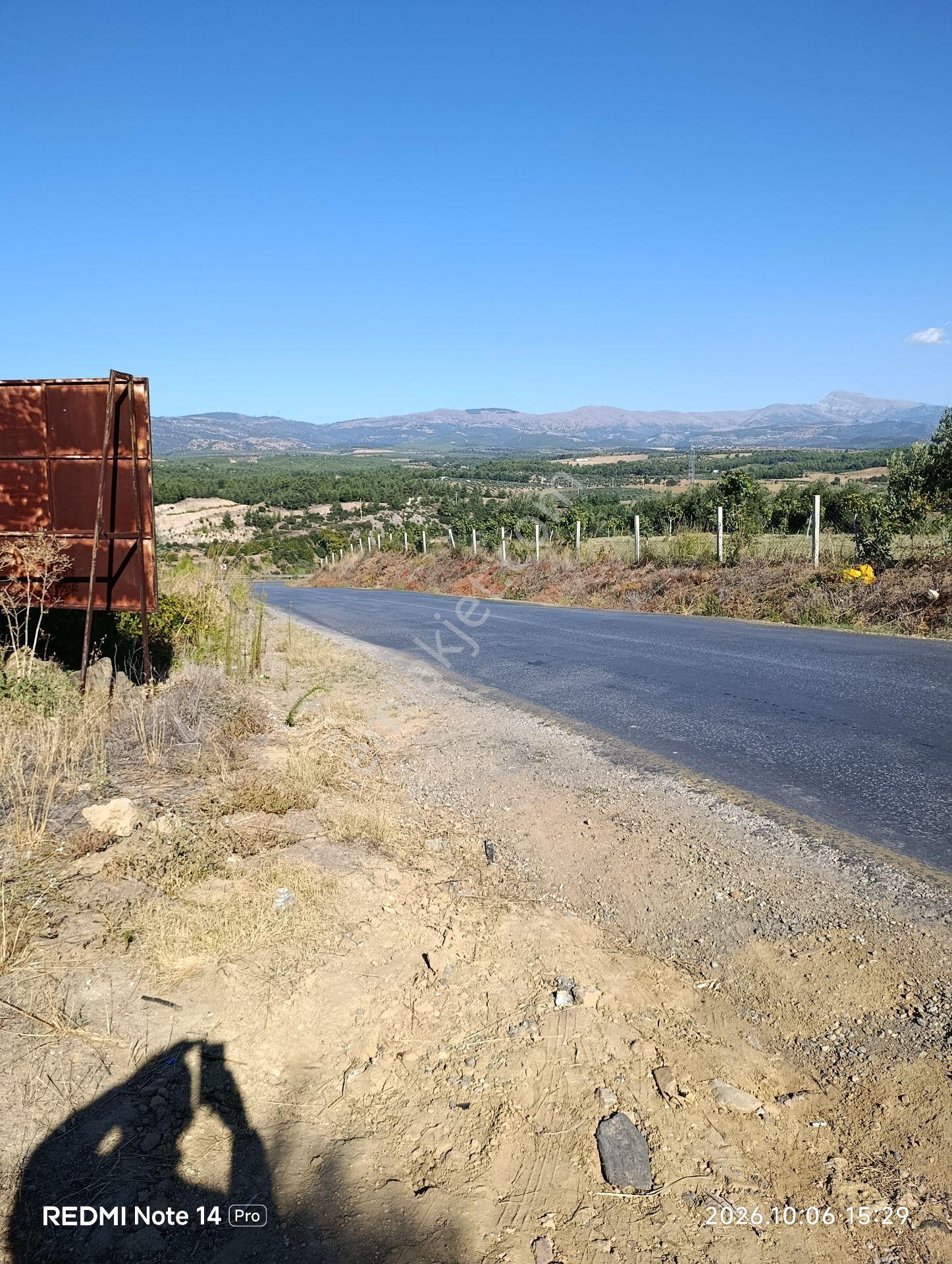 Çölgezen Gayrimenkulden Satılık Zeytinlik — fotoğraf 2