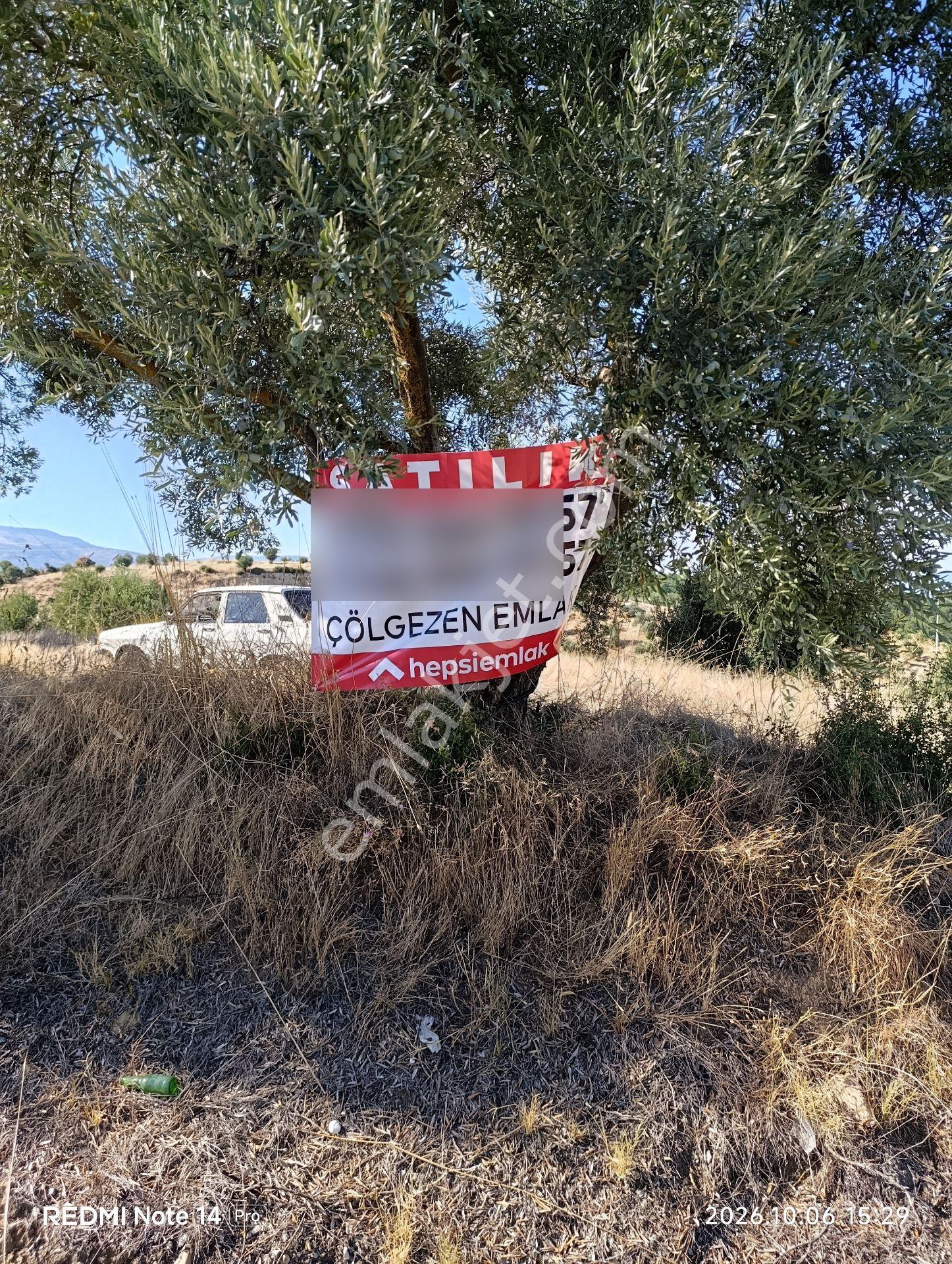 Çölgezen Gayrimenkulden Satılık Zeytinlik — fotoğraf 6