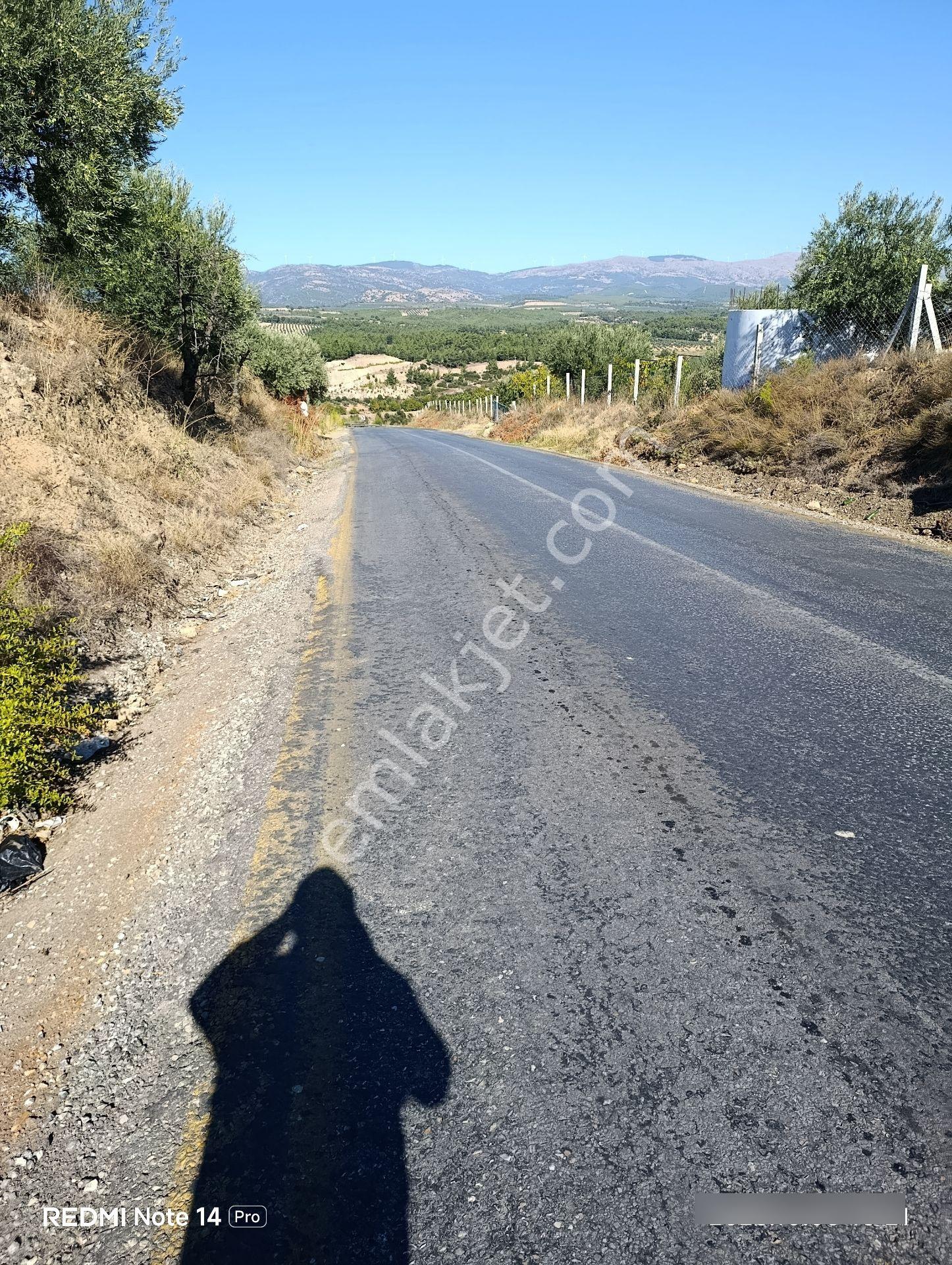 Çölgezen Gayrimenkulden Satılık Zeytinlik — fotoğraf 7
