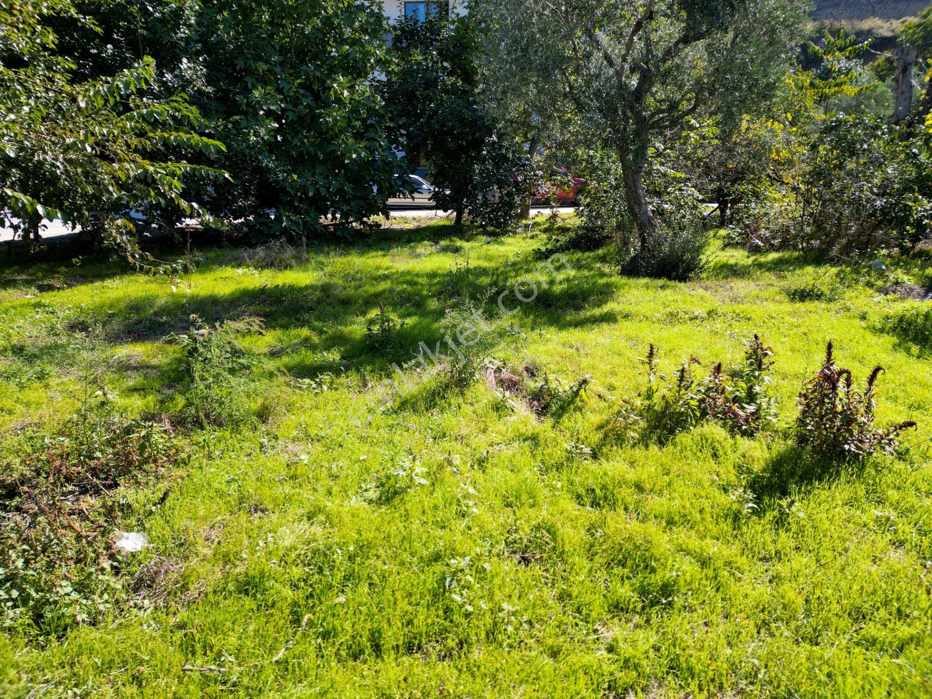 Uzmanlar'dan Gölcük Ulaşlı 379 M2 3 Kat İmarlı Satılık Arsa — fotoğraf 10