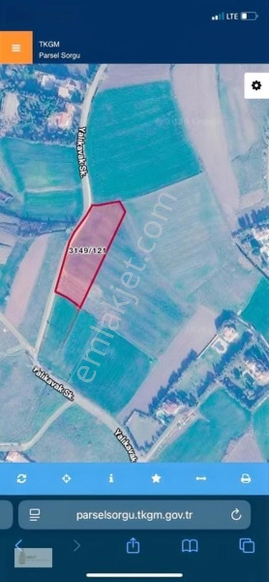 Celaliye'de Yan Yana Satılık 2 Parsel Hisse / Toplam 1.854 M² — fotoğraf 4