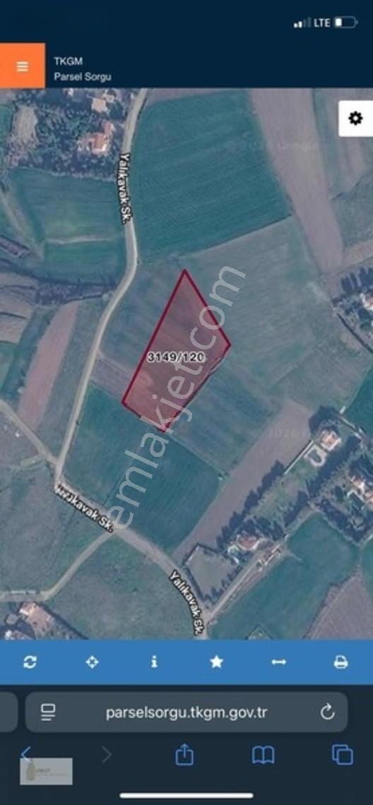 Celaliye'de Yan Yana Satılık 2 Parsel Hisse / Toplam 1.854 M² — fotoğraf 5