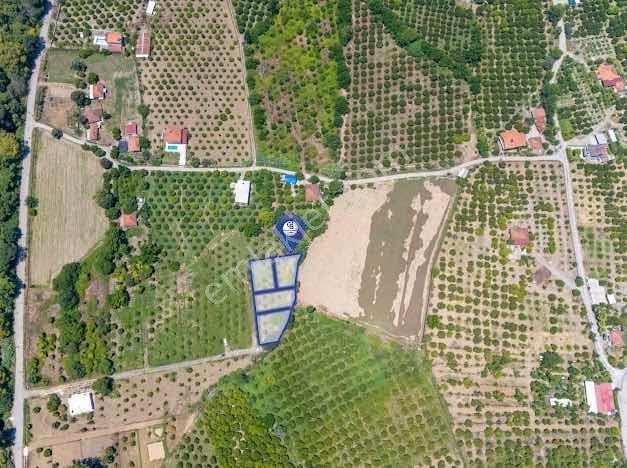Muğla Köyceğiz Mahallesinde 1412 M2 Tarla — fotoğraf 2