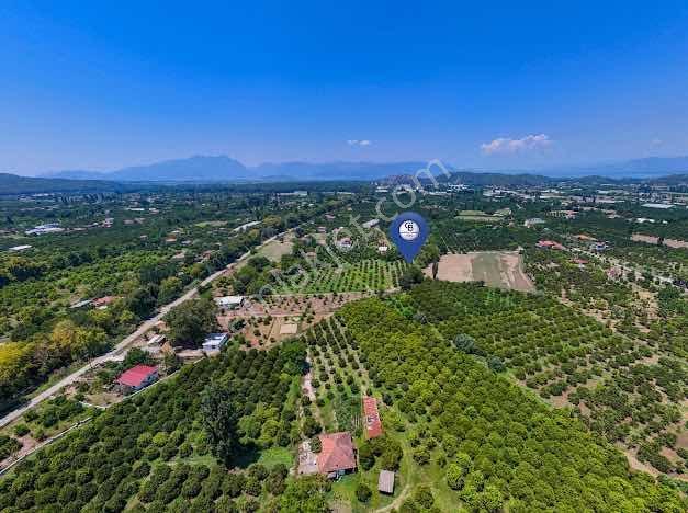 Muğla Köyceğiz Mahallesinde 1412 M2 Tarla — fotoğraf 4
