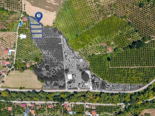 Muğla Köyceğiz Mahallesinde 1412 M2 Tarla — fotoğraf 5