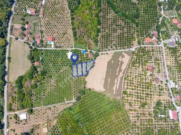 Muğla Köyceğiz Mahallesinde 1412 M2 Tarla — fotoğraf 6