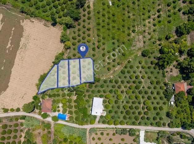 Muğla Köyceğiz Mahallesinde 1412 M2 Tarla — fotoğraf 7