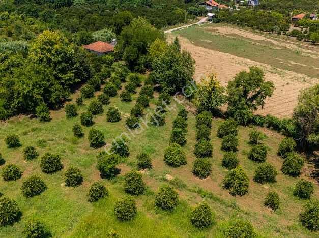 Muğla Köyceğiz Mahallesinde 1412 M2 Tarla — fotoğraf 10