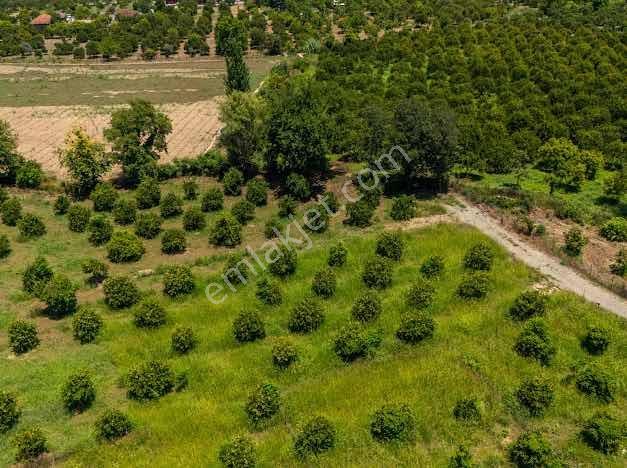 Muğla Köyceğiz Mahallesinde 1412 M2 Tarla — fotoğraf 11