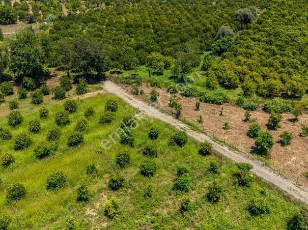 Muğla Köyceğiz Mahallesinde 1412 M2 Tarla — fotoğraf 12
