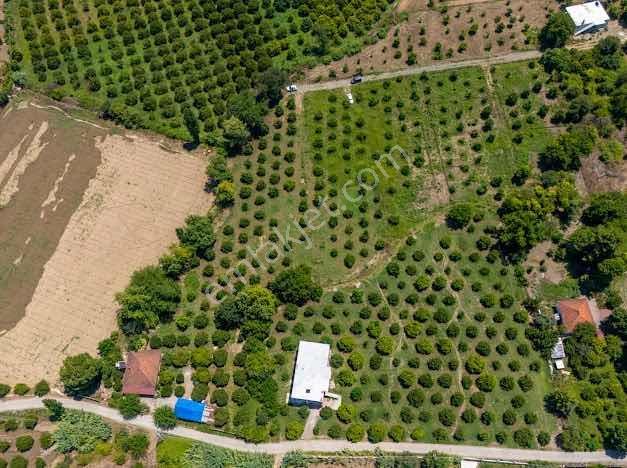 Muğla Köyceğiz Mahallesinde 1412 M2 Tarla — fotoğraf 13