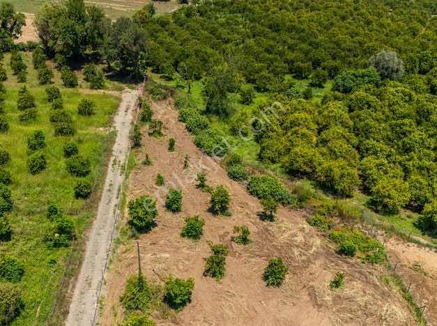 Muğla Köyceğiz Mahallesinde 1412 M2 Tarla — fotoğraf 14