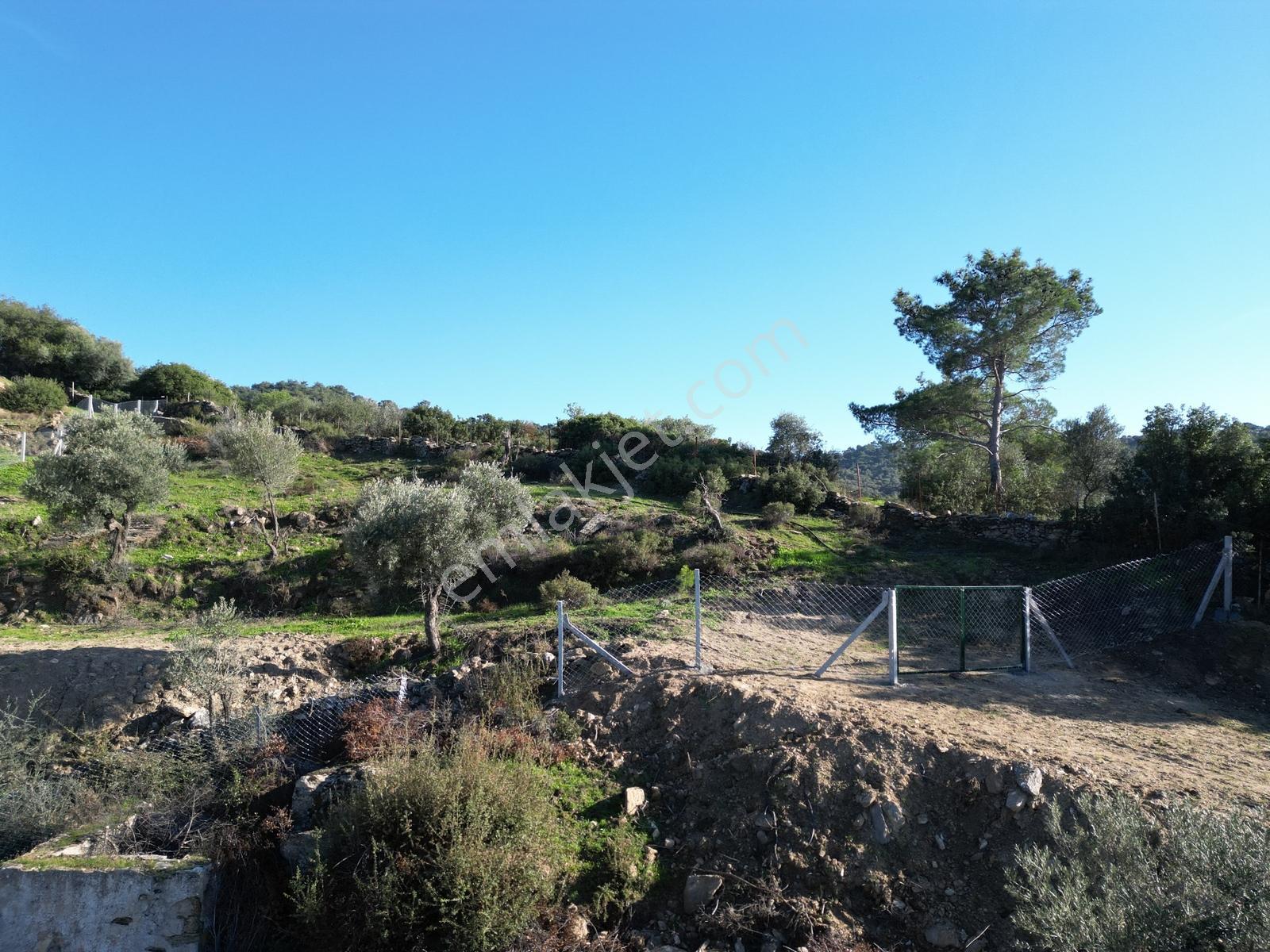 Söke Bayırdamı Mevkii İmarlı Arsa — fotoğraf 4