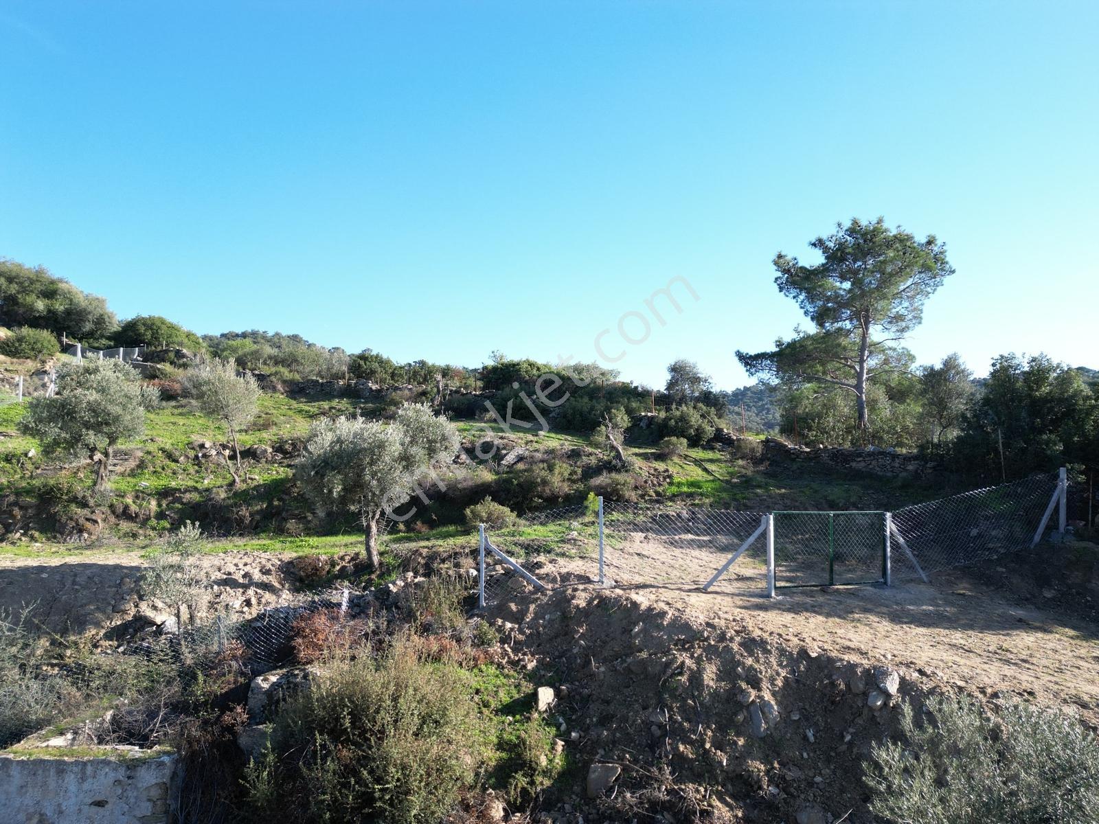 Söke Bayırdamı Mevkii İmarlı Arsa — fotoğraf 5
