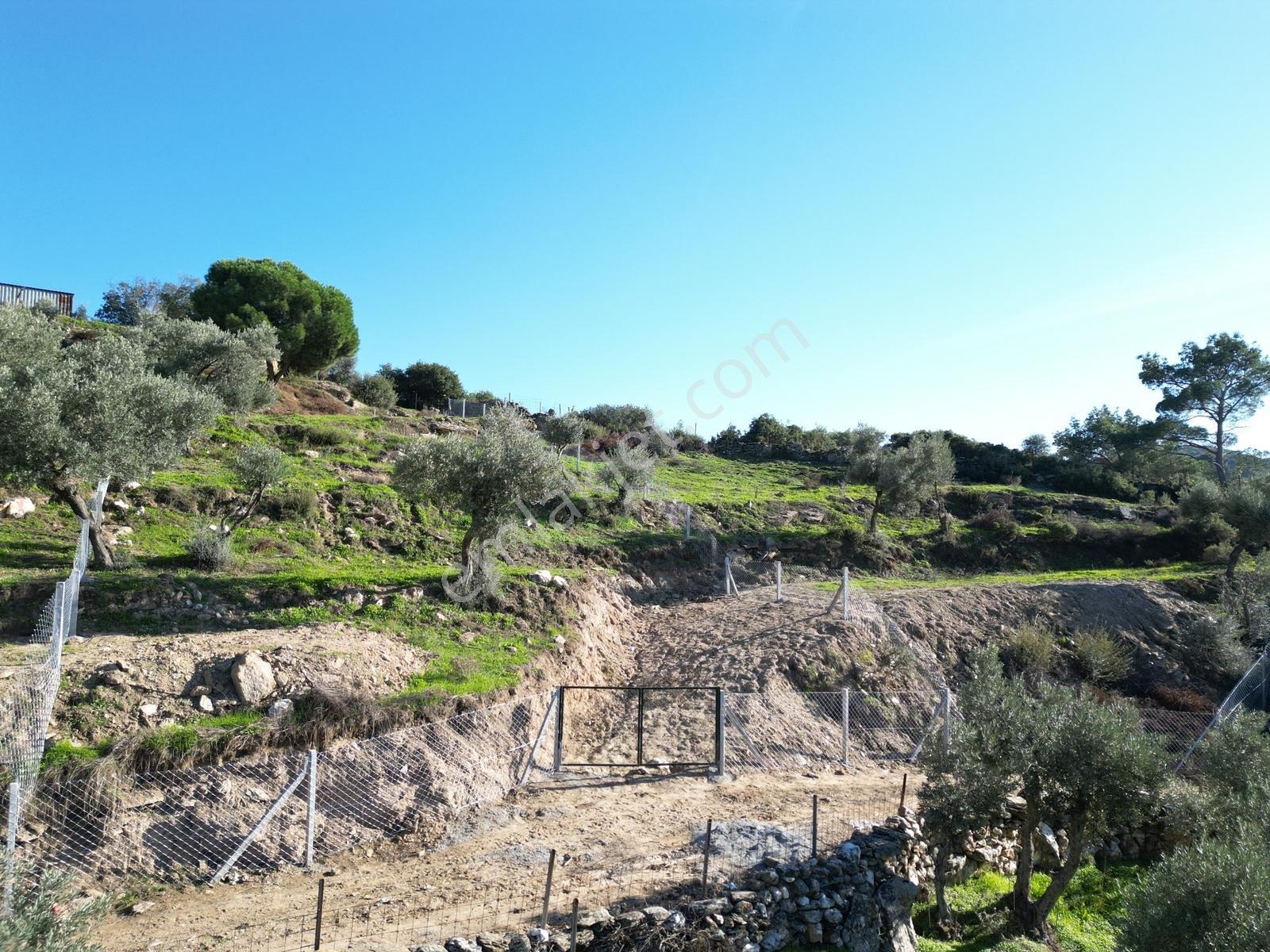 Söke Bayırdamı Mevkii İmarlı Arsa — fotoğraf 8