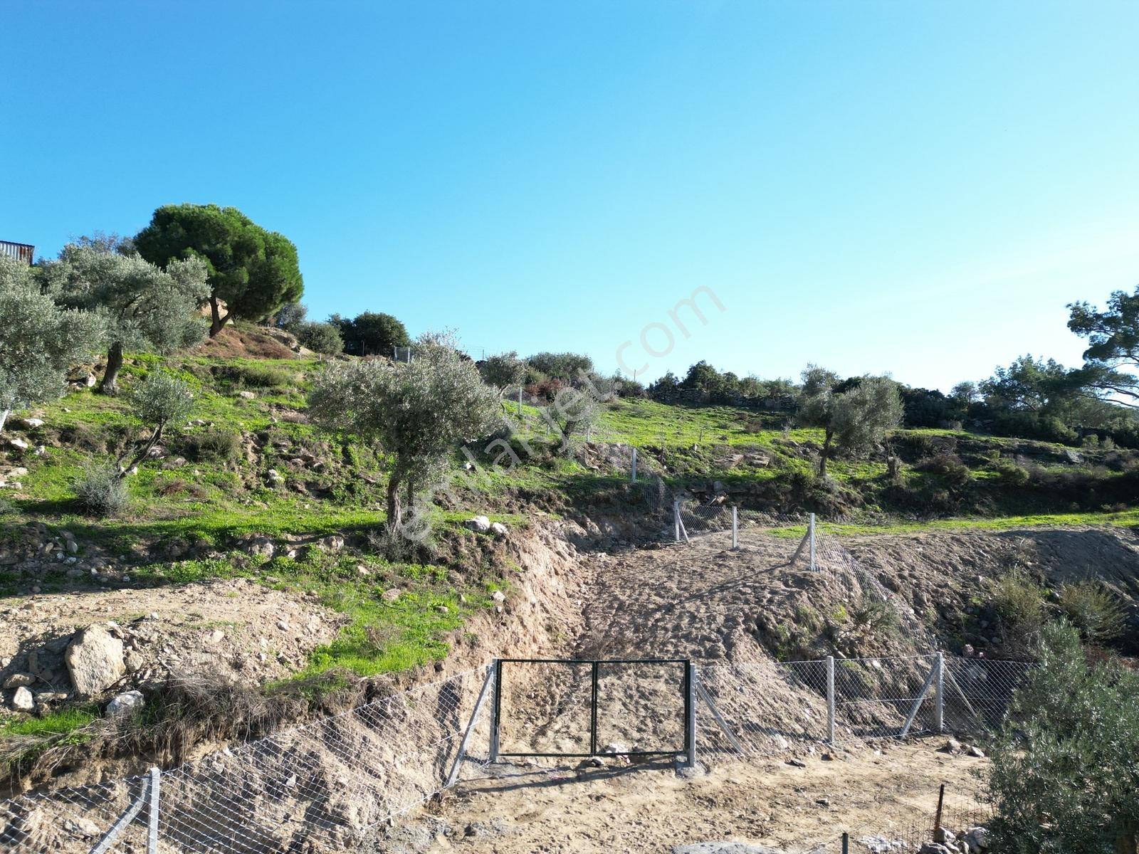 Söke Bayırdamı Mevkii İmarlı Arsa — fotoğraf 9