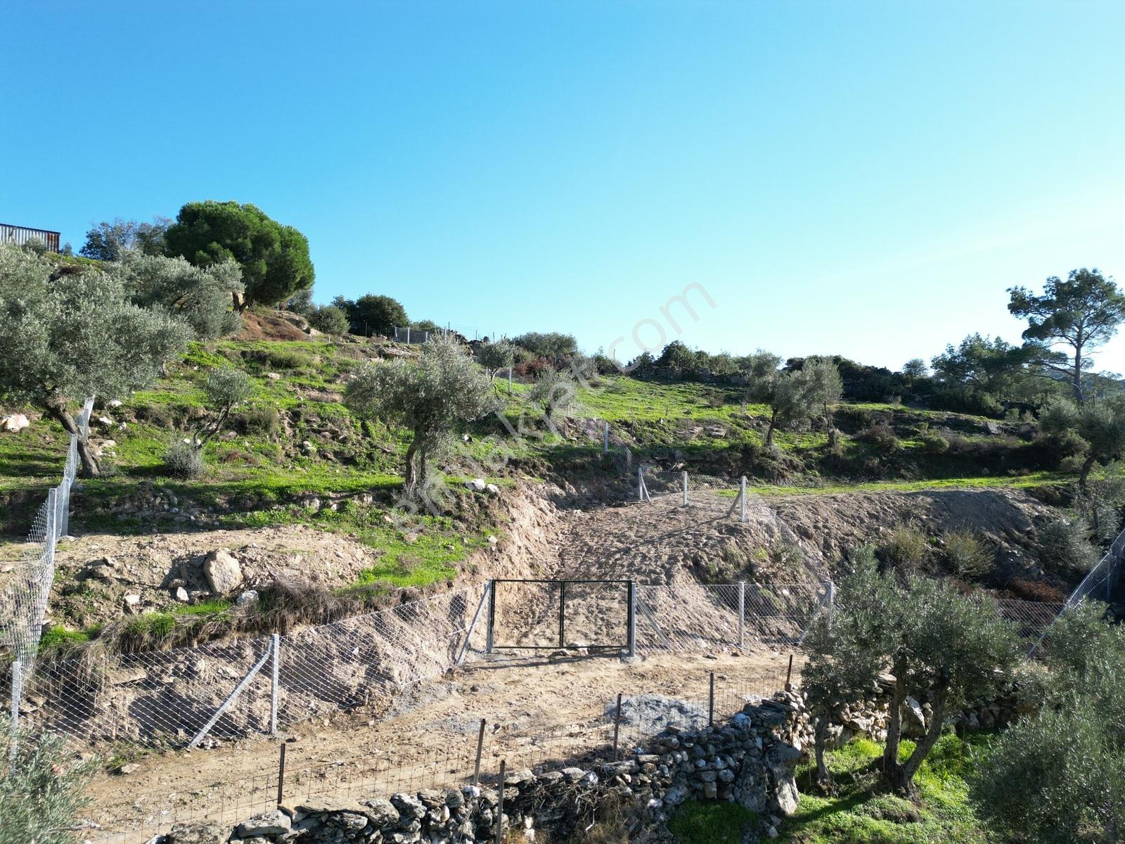 Söke Bayırdamı Mevkii İmarlı Arsa — fotoğraf 12
