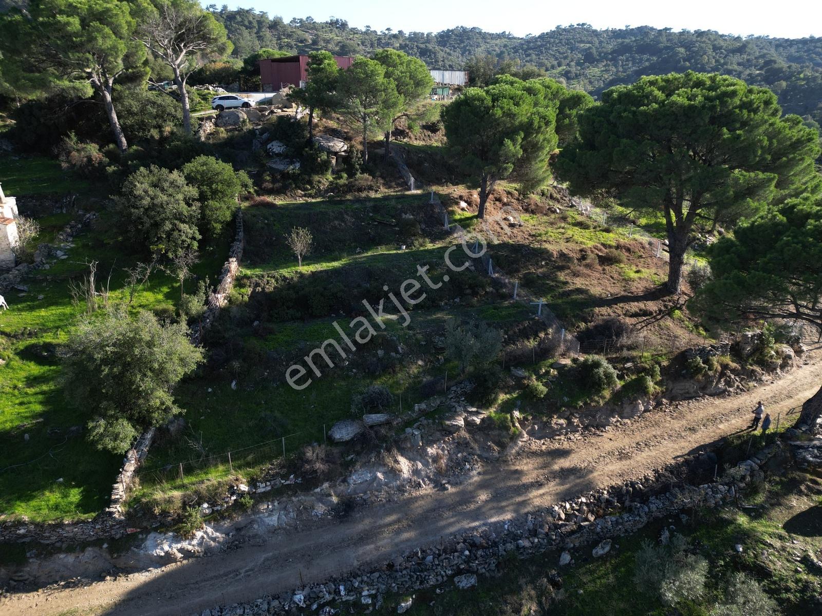 Söke Bayırdamı Mevkii İmarlı Arsa — fotoğraf 13