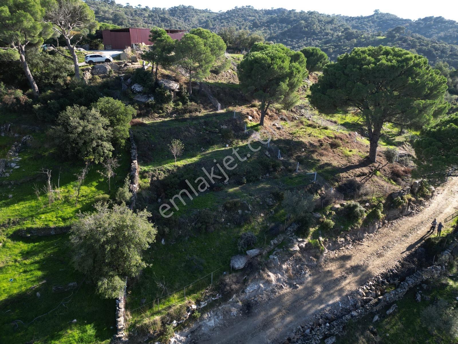 Söke Bayırdamı Mevkii İmarlı Arsa — fotoğraf 14