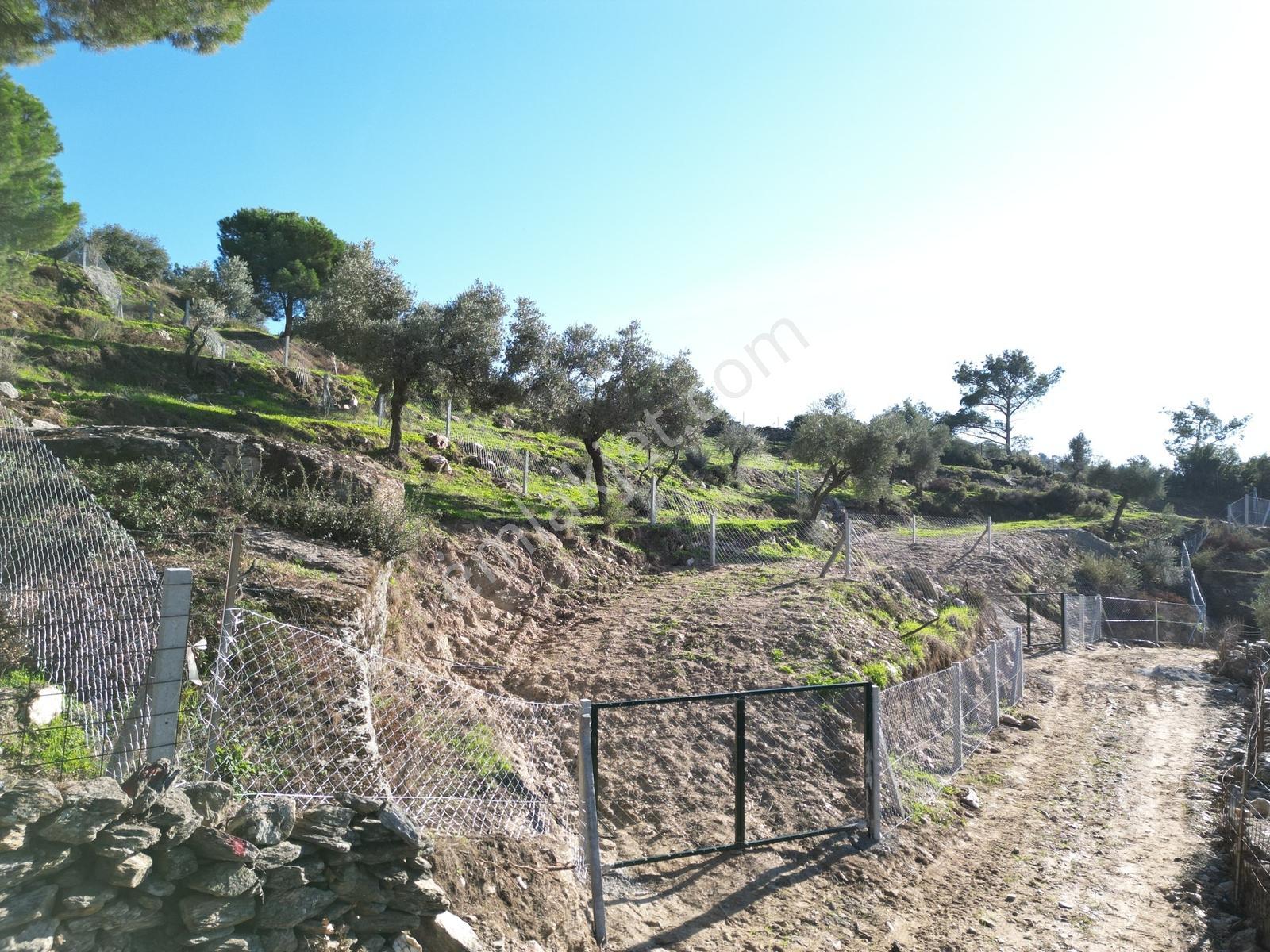 Söke Bayırdamı Mevkii İmarlı Arsa — fotoğraf 16