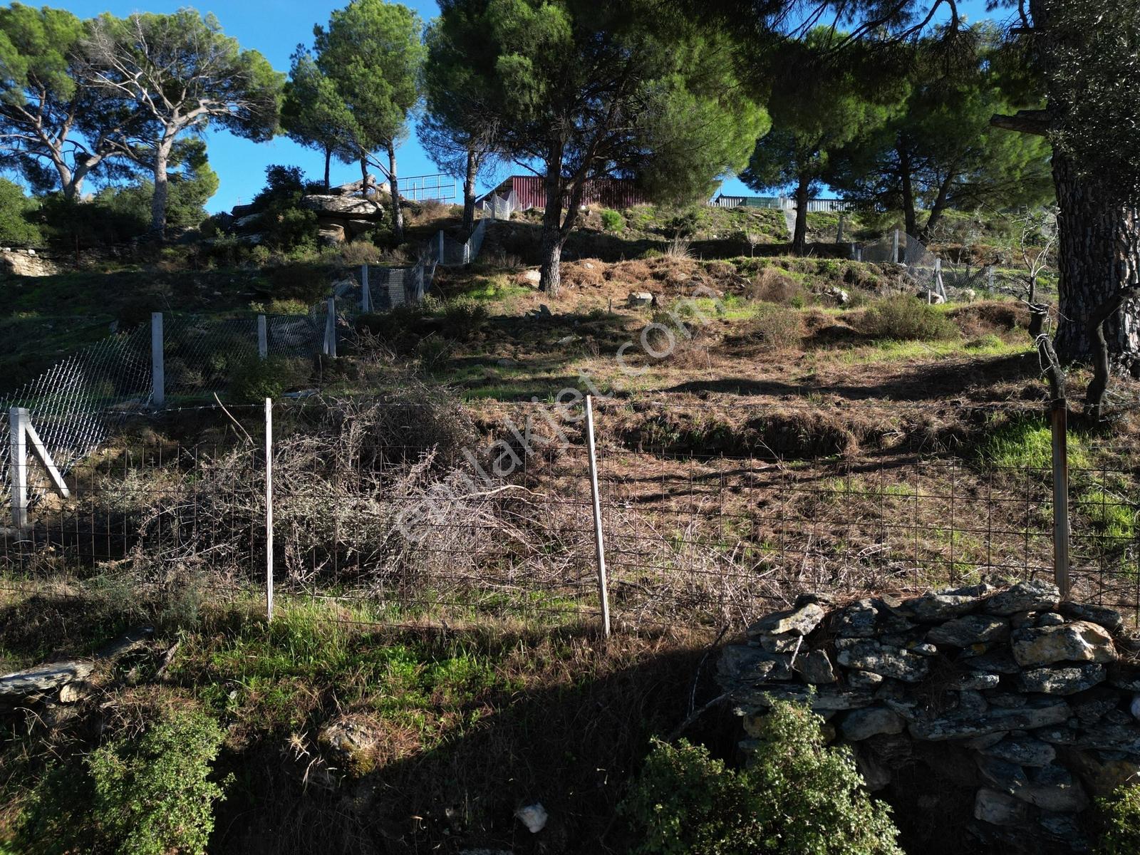 Söke Bayırdamı Mevkii İmarlı Arsa — fotoğraf 17