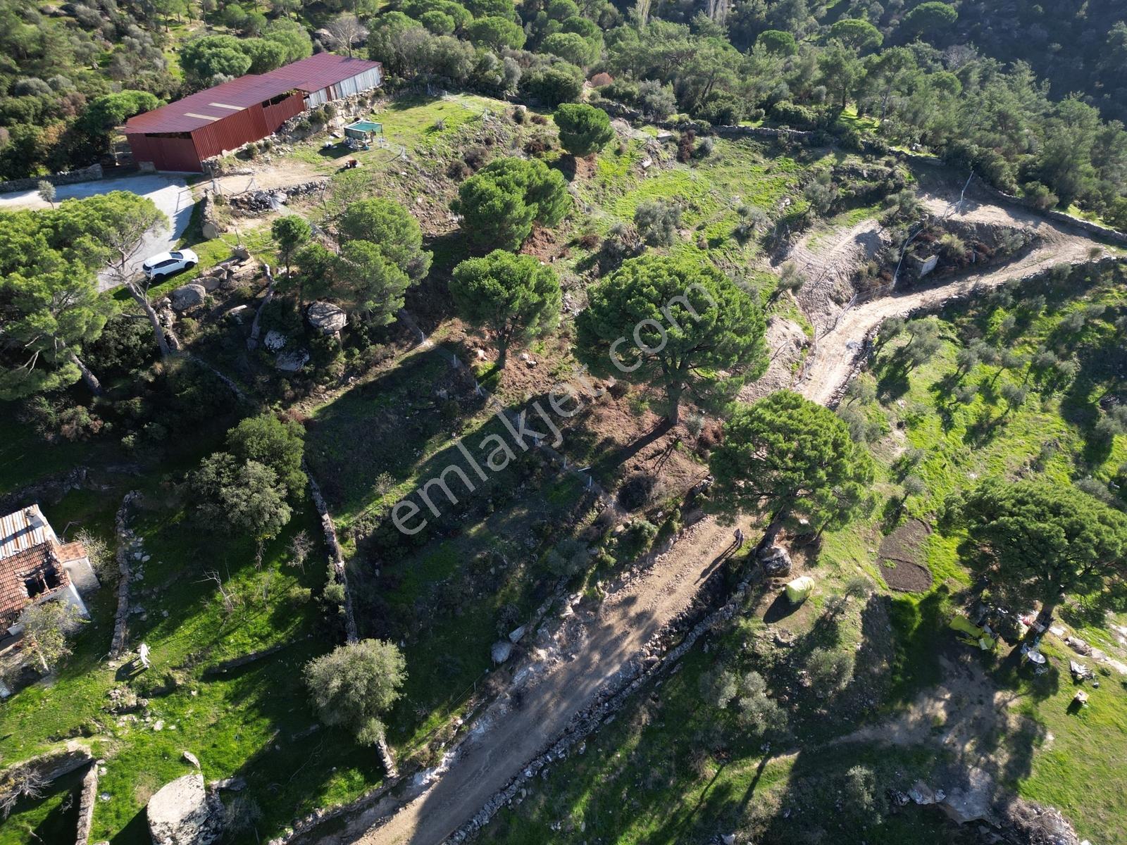 Söke Bayırdamı Mevkii İmarlı Arsa — fotoğraf 20