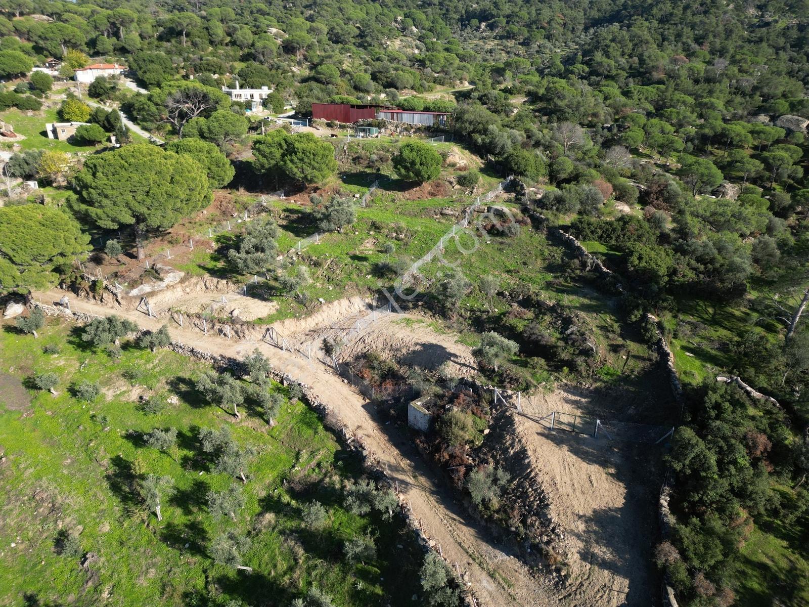 Söke Bayırdamı Mevkii İmarlı Arsa — fotoğraf 22