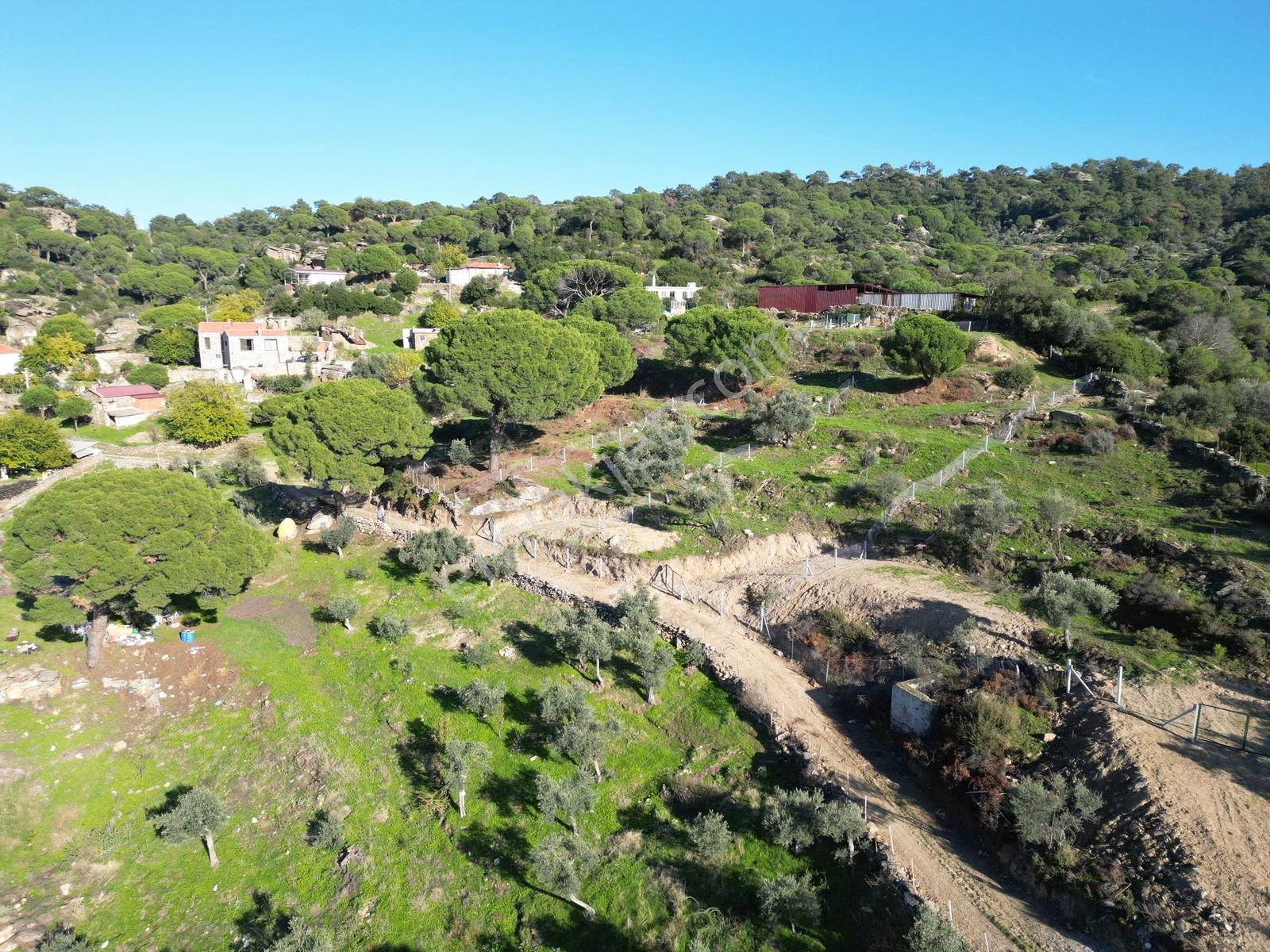 Söke Bayırdamı Mevkii İmarlı Arsa — fotoğraf 23