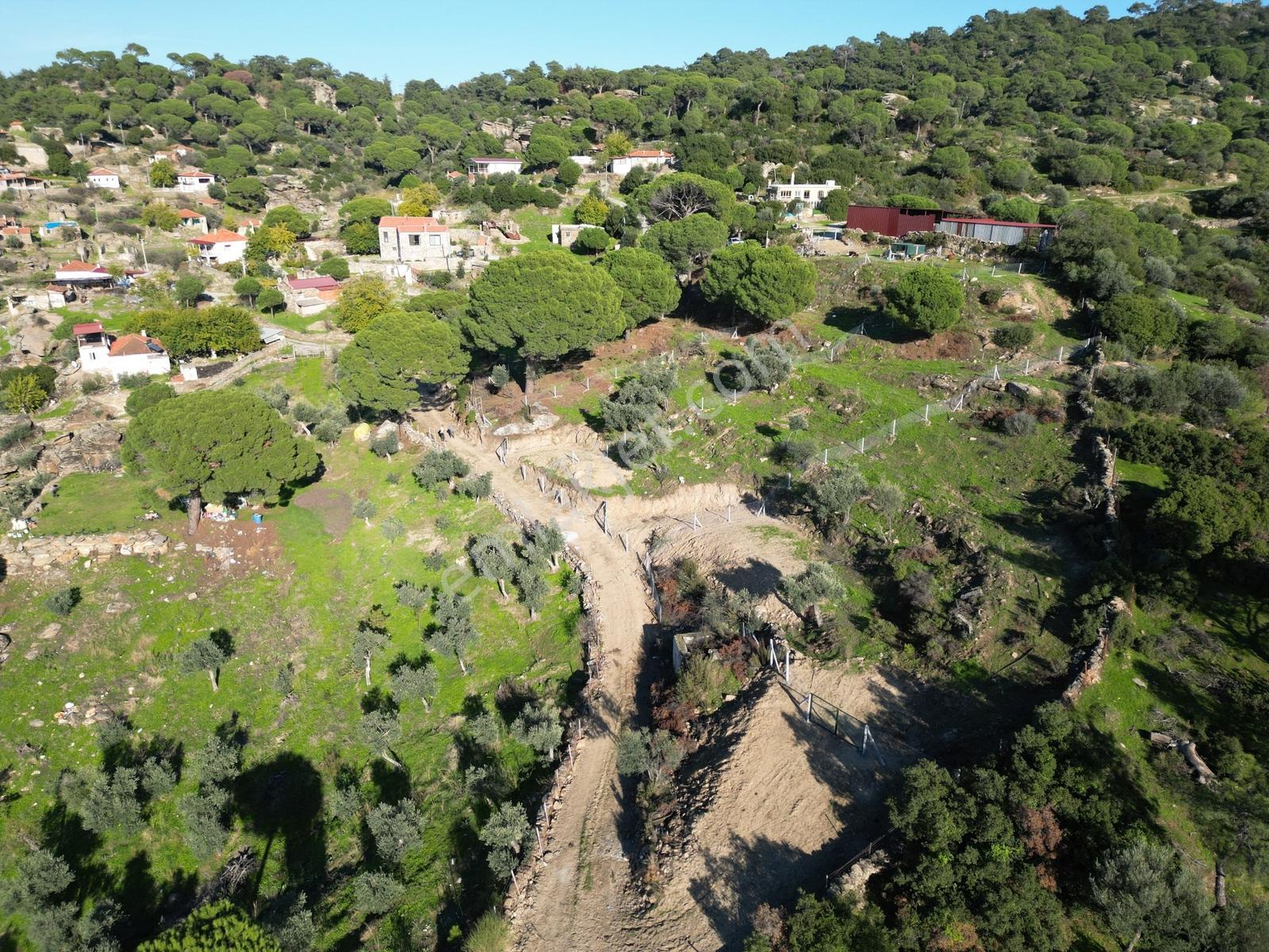 Söke Bayırdamı Mevkii İmarlı Arsa — fotoğraf 26
