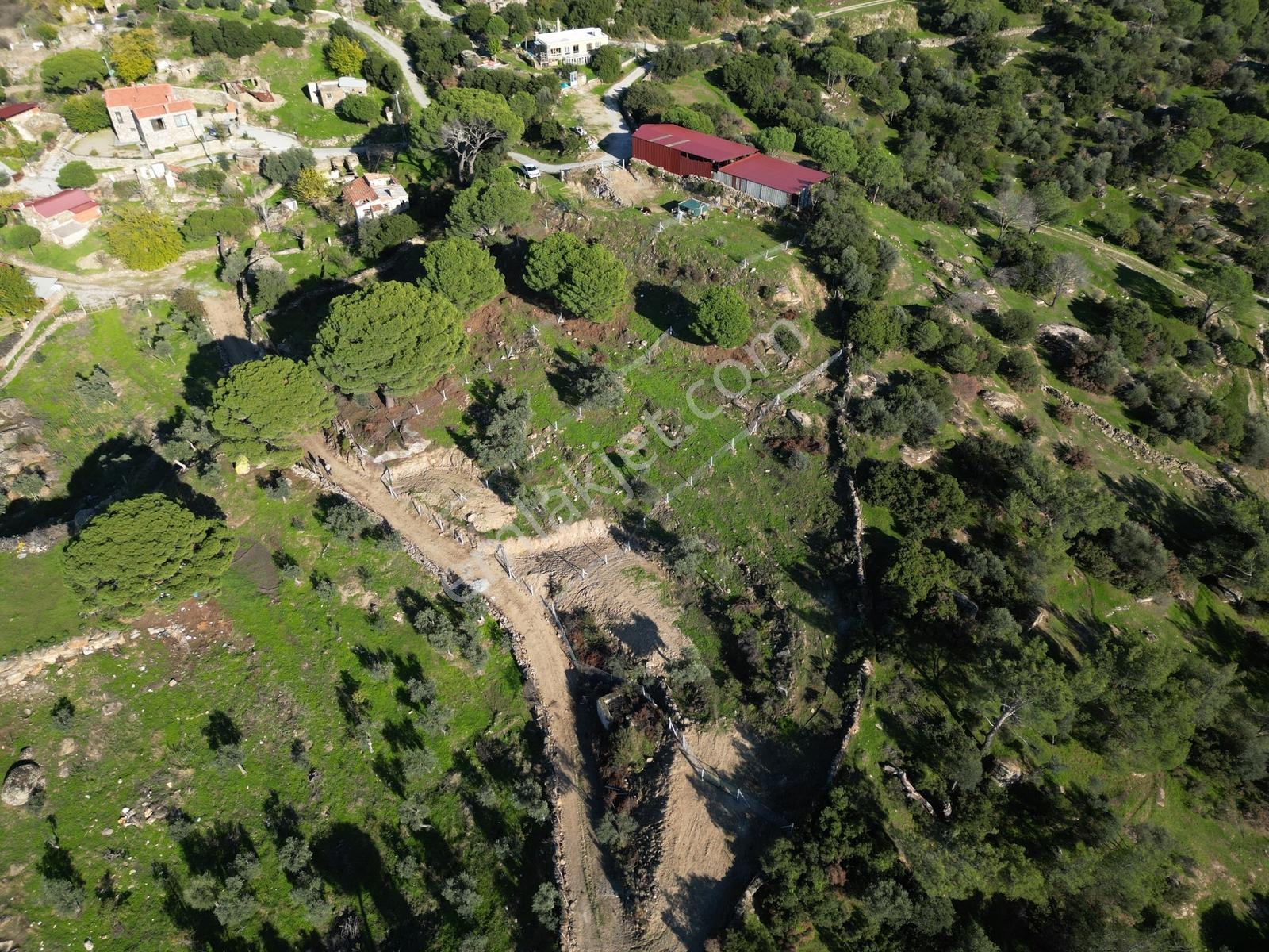 Söke Bayırdamı Mevkii İmarlı Arsa — fotoğraf 28