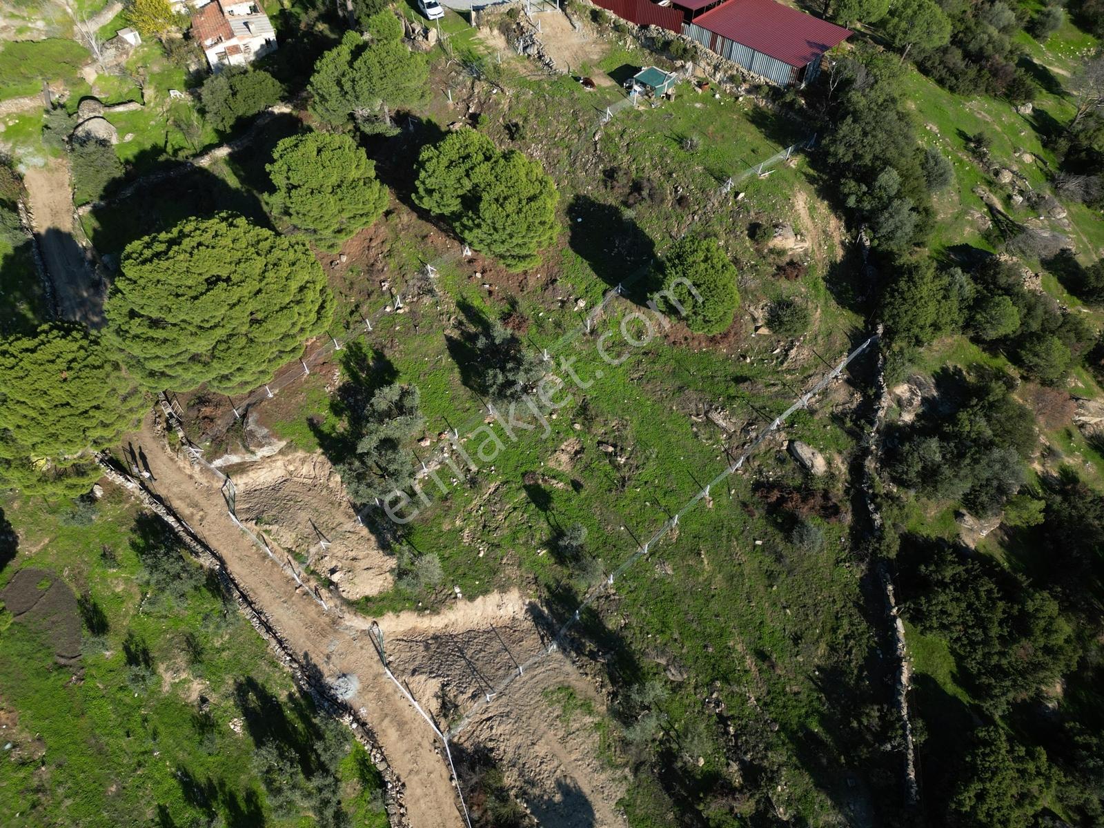 Söke Bayırdamı Mevkii İmarlı Arsa — fotoğraf 29