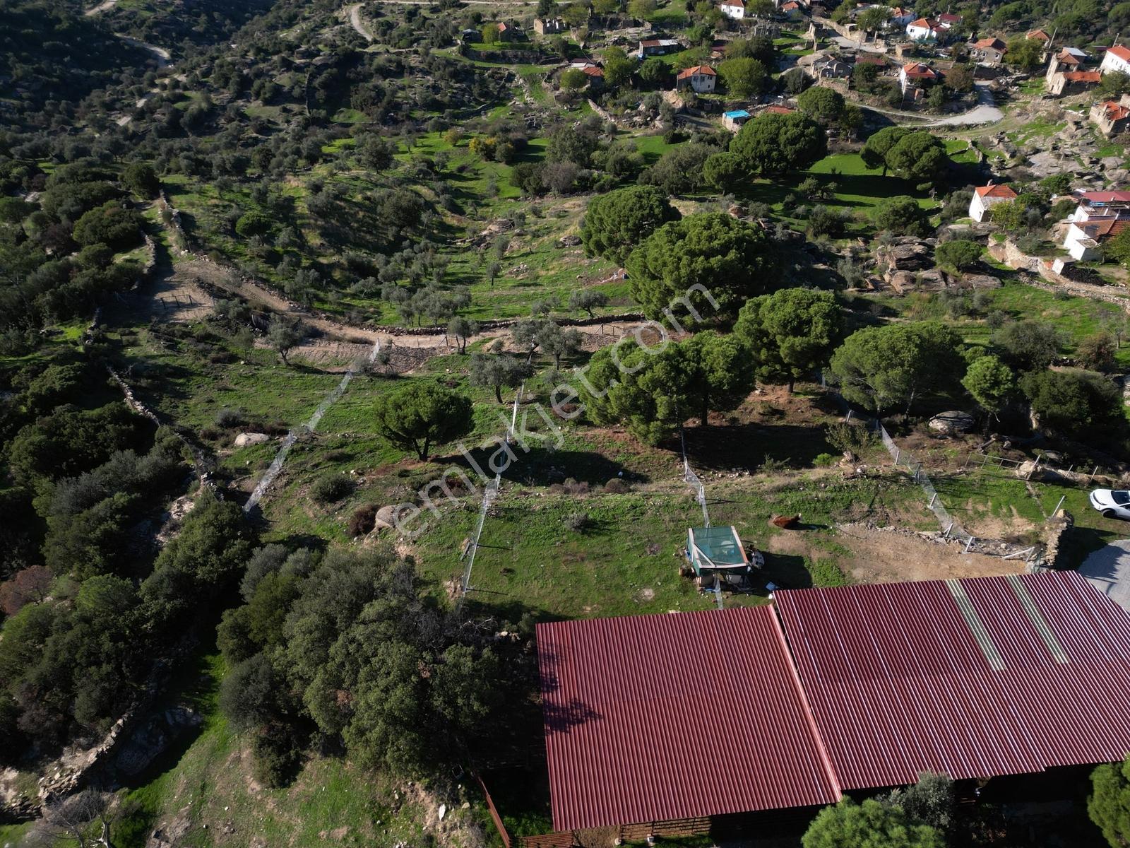 Söke Bayırdamı Mevkii İmarlı Arsa — fotoğraf 30