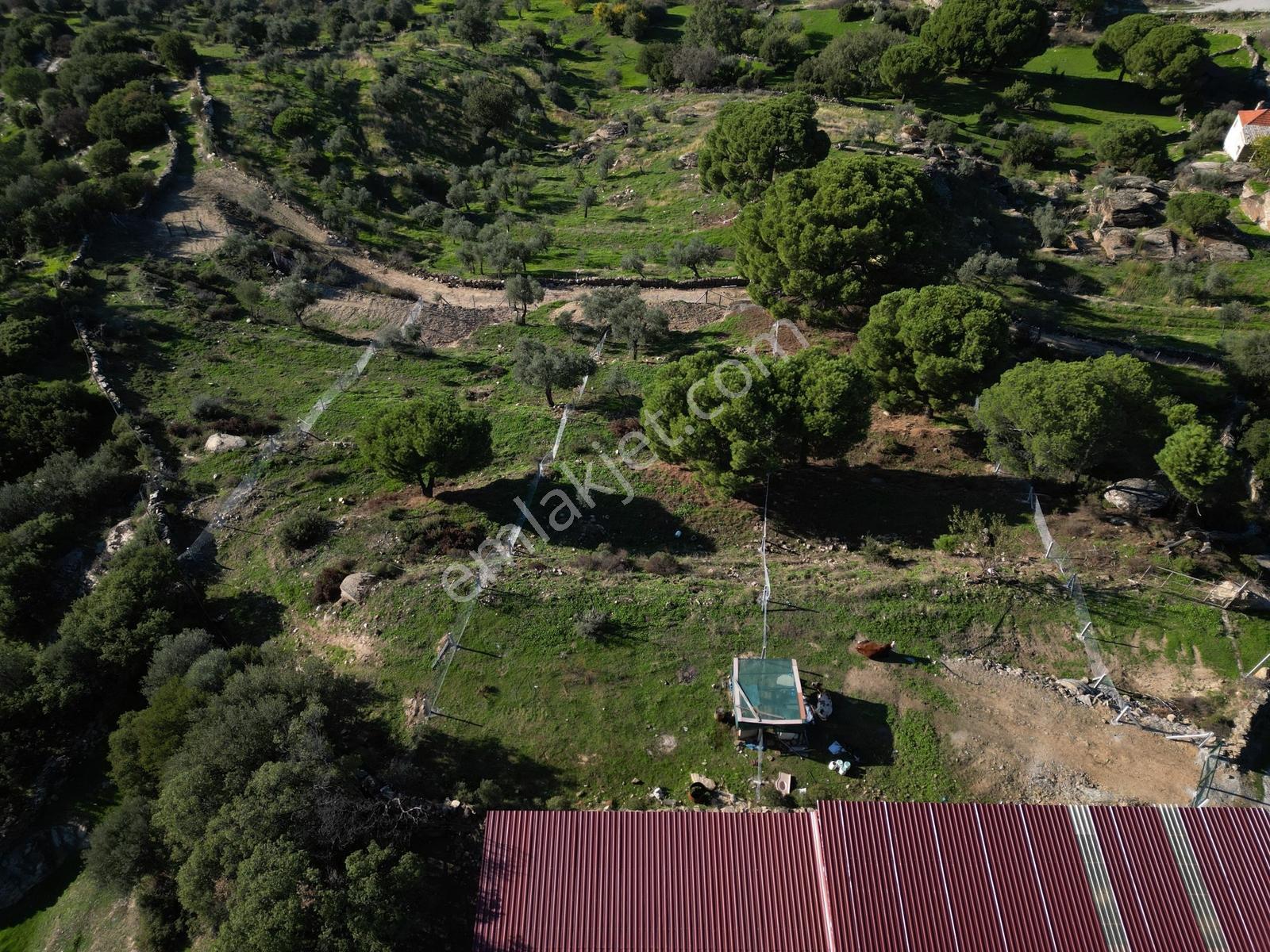 Söke Bayırdamı Mevkii İmarlı Arsa — fotoğraf 31