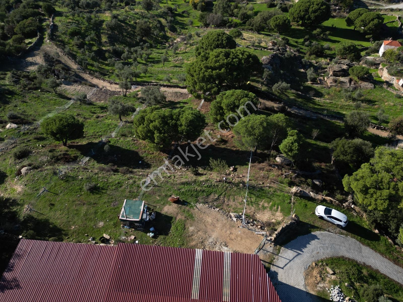 Söke Bayırdamı Mevkii İmarlı Arsa — fotoğraf 33