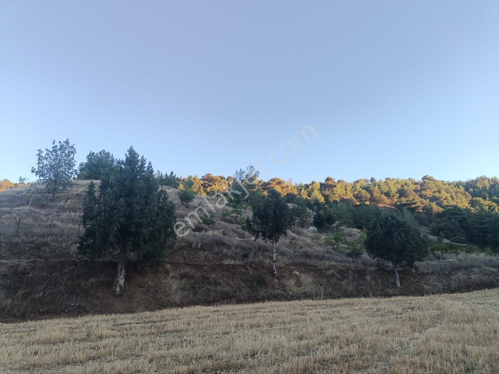 Kamil Yolu Üzerinde Bahçe Vasfında Tarla — fotoğraf 5