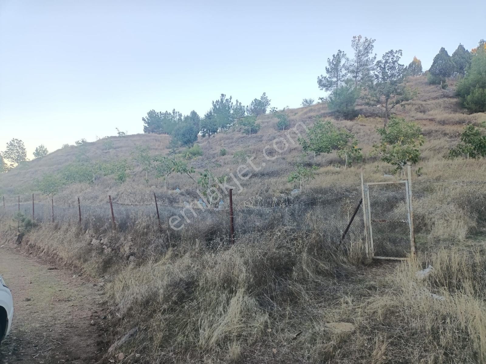Kamil Yolu Üzerinde Bahçe Vasfında Tarla — fotoğraf 7