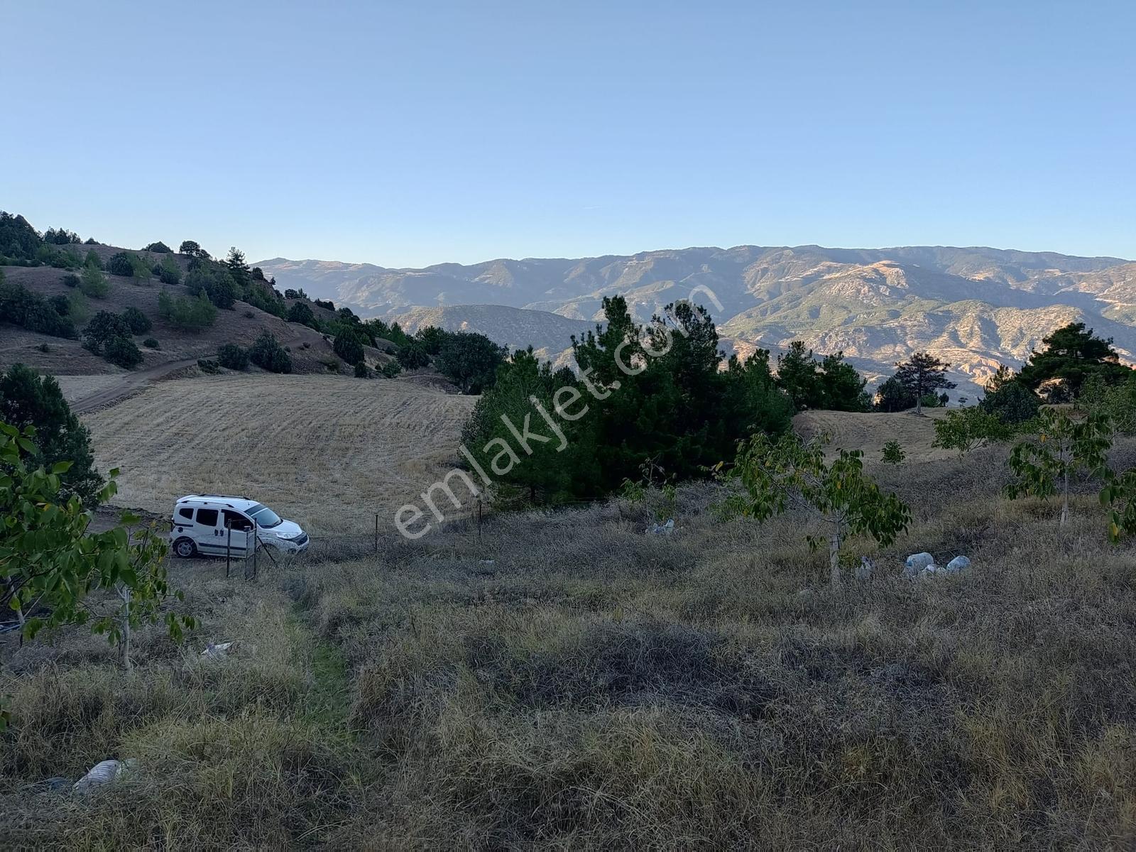 Kamil Yolu Üzerinde Bahçe Vasfında Tarla — fotoğraf 10