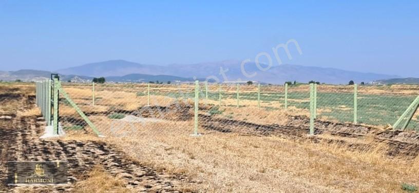 Foça Yeni Bağarası'nda Yatırımlık 223m² Arsa - Araç Takaslı — fotoğraf 4