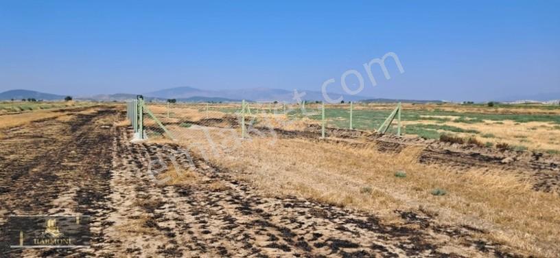 Foça Yeni Bağarası'nda Yatırımlık 223m² Arsa - Araç Takaslı — fotoğraf 6