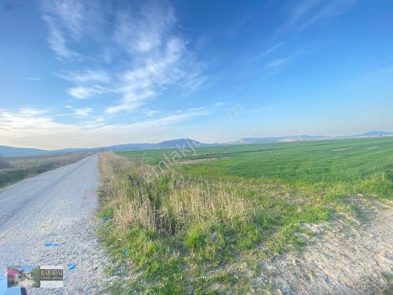 Foça Yeni Bağarası'nda Yatırımlık 223m² Arsa - Araç Takaslı — fotoğraf 7