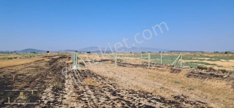 Foça Yeni Bağarası'nda Yatırımlık 223m² Arsa - Araç Takaslı — fotoğraf 9