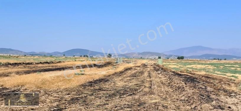 Foça Yeni Bağarası'nda Yatırımlık 223m² Arsa - Araç Takaslı — fotoğraf 10